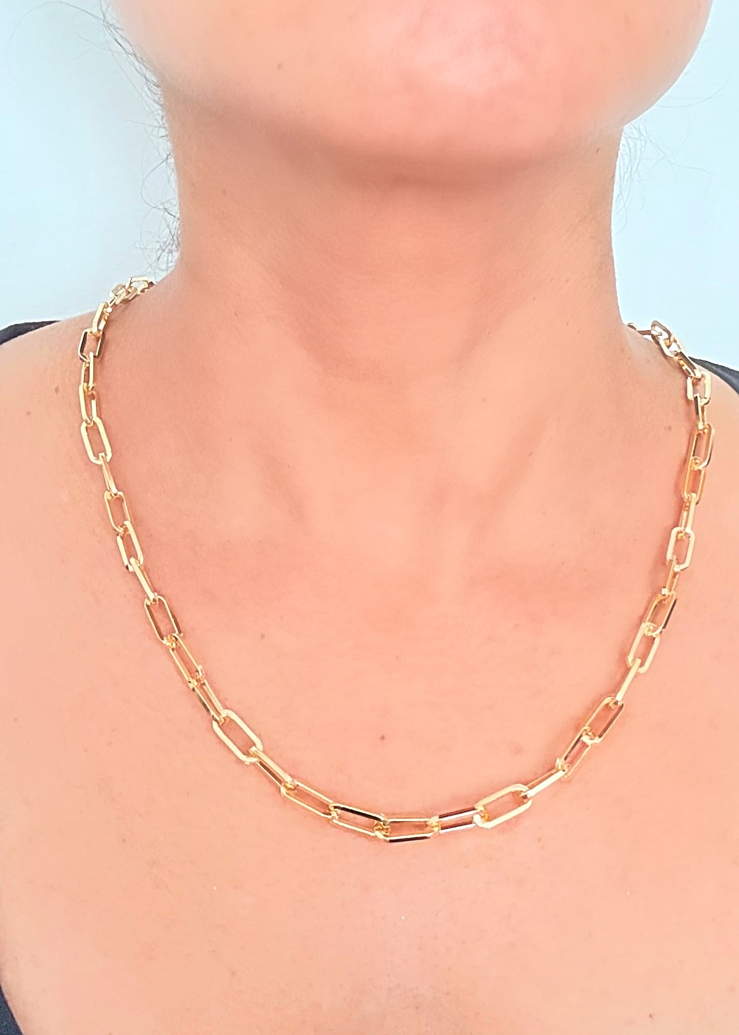 PHOENIX NECKLACE (-30%)